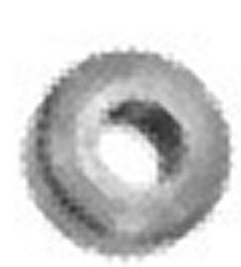Nut Singer 111W Tension