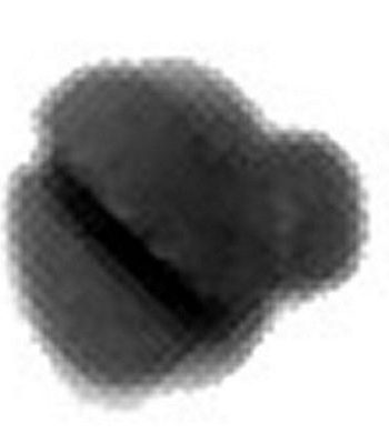 Screw Sgr 66 Ndl bar T/G