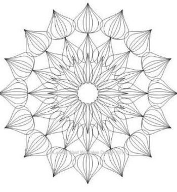 Artisan Curve Iris 20 Template .5"x3" - Long Arm